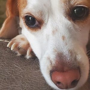 Meet your Posher, Kellie